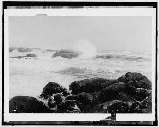A rocky coast