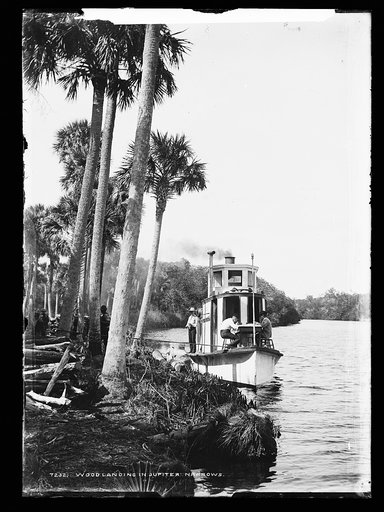 Wood landing in Jupiter Narrows