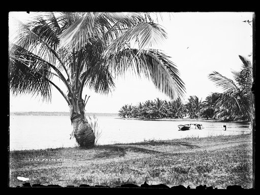 Palm Beach