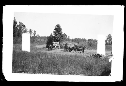 Cotton bales on the way to market