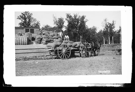 Cotton seed at a r.r. station