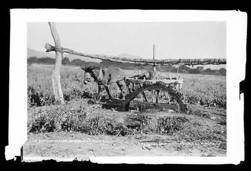 Irrigation wheels at Ahualalco [sic