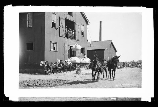 A cotton gin