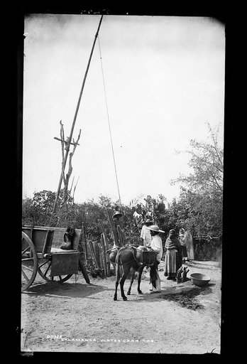 Salamanca, water carriers