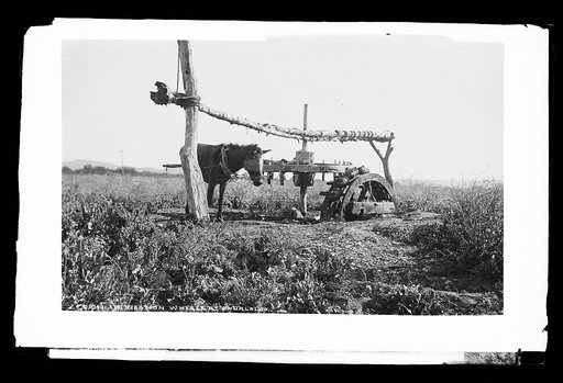 Irrigation wheel at Ahualalco [sic