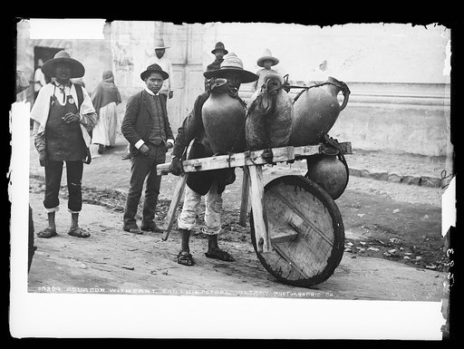 Aguador [water carrier] with cart, San Luis Potosi