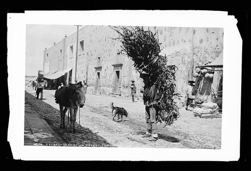 A street in San Luis Potosi, the cargador