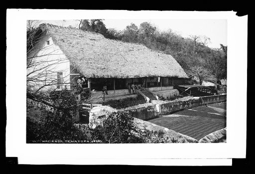 Hacienda Temasopa [sic