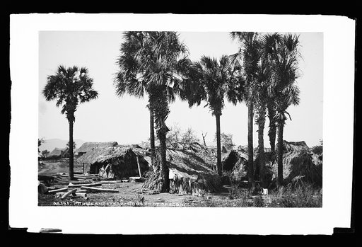 Palms and straw houses at Rascon
