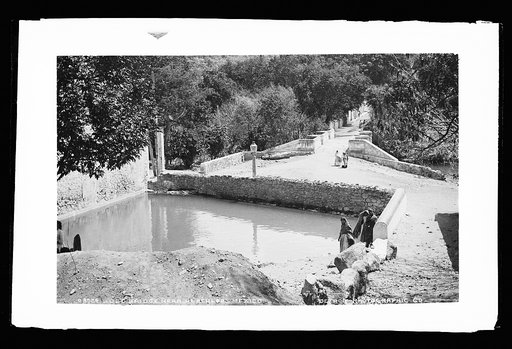 Old bridge near Hercules, Mexico