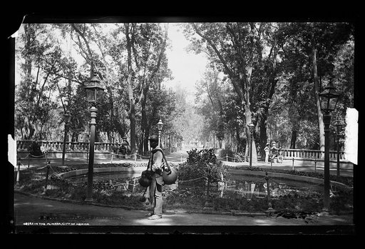 In the Almeda [i.e Alameda], City of Mexico