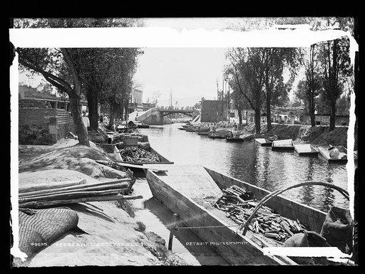 Vega [sic] Canal at Ixtacalco