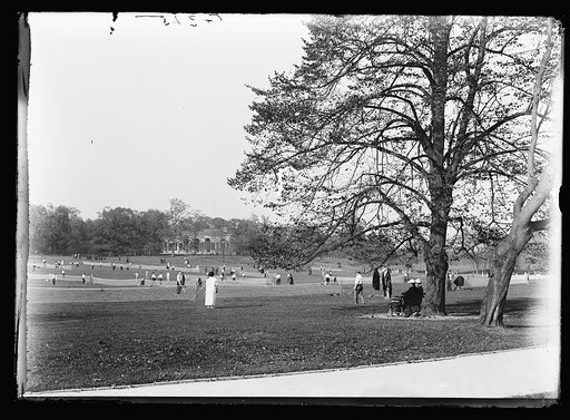Lawn tennis, park