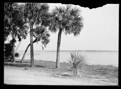 Halifax River, Daytona, Fla.