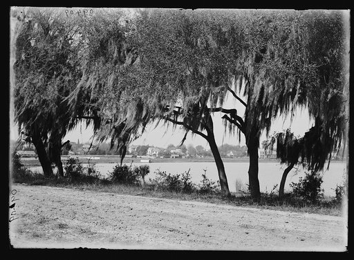Glimpse of Lake Eola], Orlando, Fla.