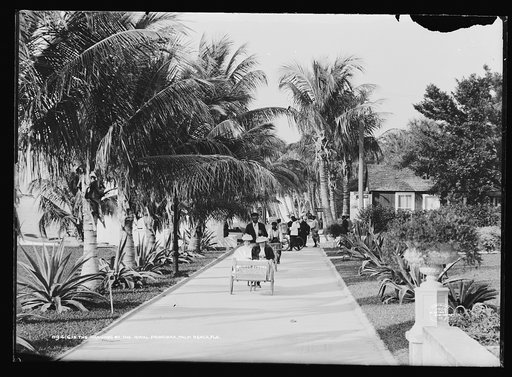 The Grounds of the [Hotel] Royal Poinciana, Palm Beach, Fla.
