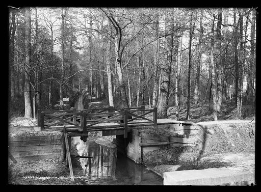 Foot bridge, Summerville, S.C.