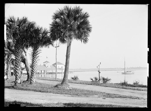 Halifax River Yacht Club and palms, Daytona Beach, Florida