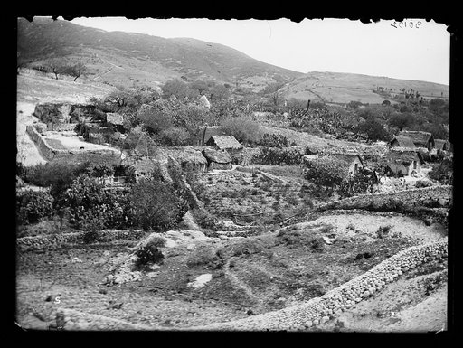 Town and cultivated field in Mexico