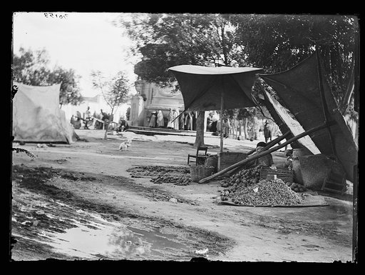 Woman with vegetables and fruit under lean-to in plaza, Mexico