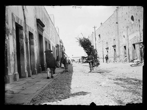 Street and cargador, San Luis Potosi, Mexico