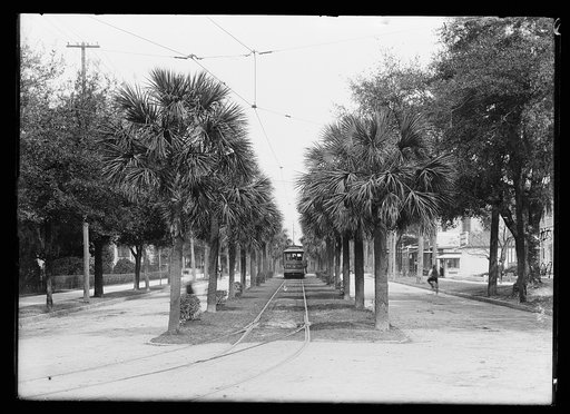 Street car, street in Jacksonville, Fla.