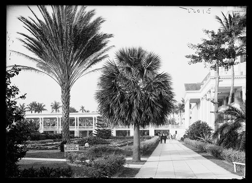 In the gardens, Colonial Hotel, Nassau, Bahamas