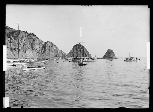Boats in harbor, Avalon, Catalina Island, Calif.