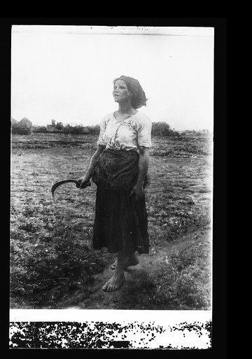 Song of the lark