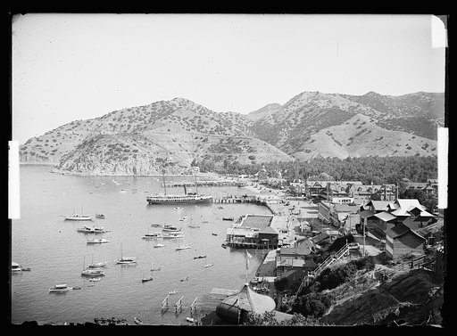 Harbor, Avalon, Catalina Island, Calif.
