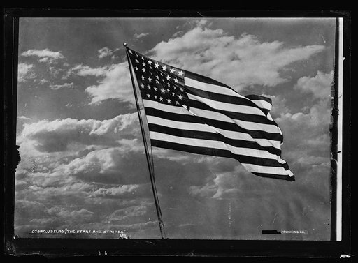 U.S. flag, the Stars and Stripes