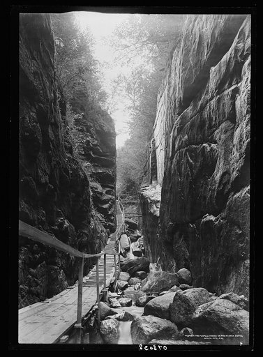 The Flume, looking up, Franconia Notch, White Mts., N.H.