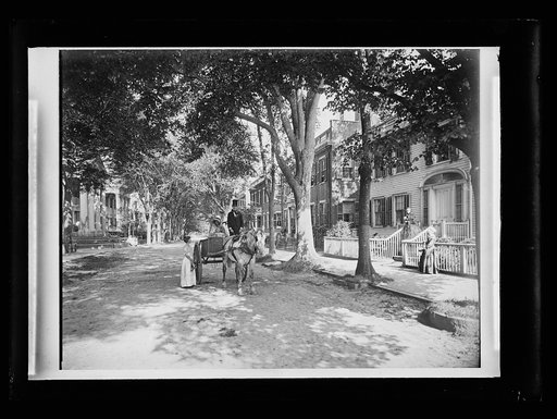 Carriage in street of historic neighborhood