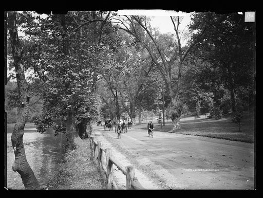 Cyclists on road by river