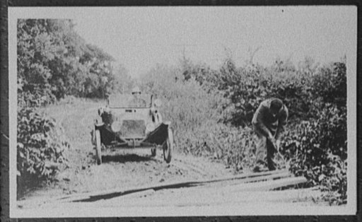 Man clearing roadside brush