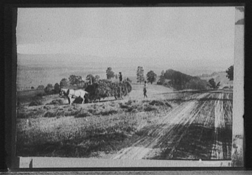 Road and hay cart, possibly Colorado