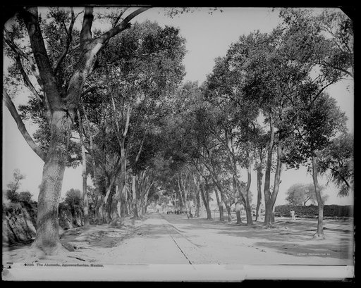 The Alameda, Aguascalientes, Mexico