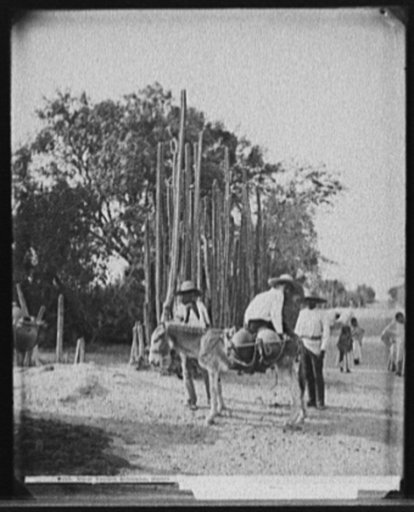 Water carriers, Salamanca, Mexico