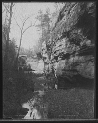 Deer Park canon [i.e. canyon], Ill.