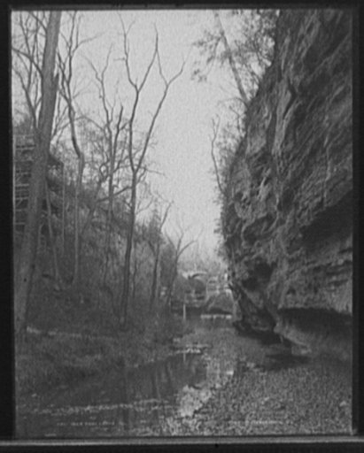 Deer Park canon [i.e. canyon], Ill.