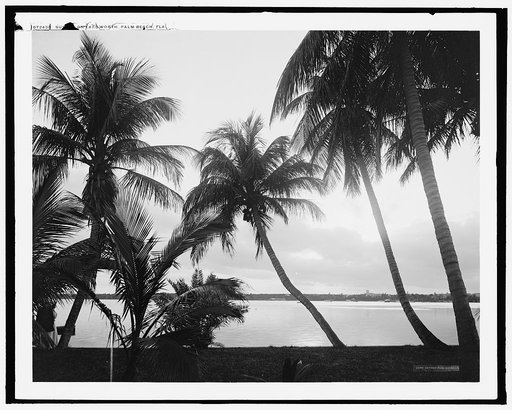 Sunset on Lake Worth, Palm Beach, Fla.