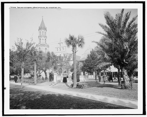 The Old cathedral from the plaza, St. Augustine, Fla.