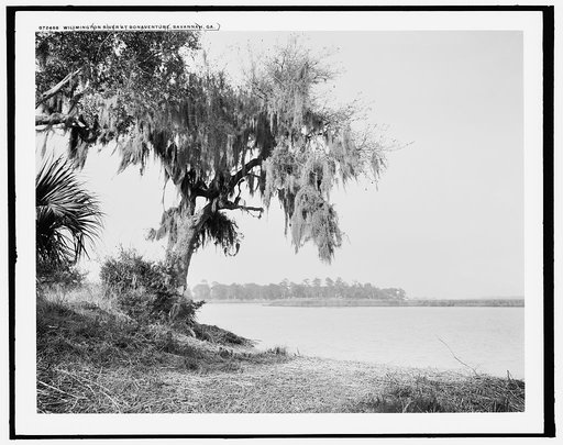 Wilmington River at Bonaventure, Savannah, Ga.