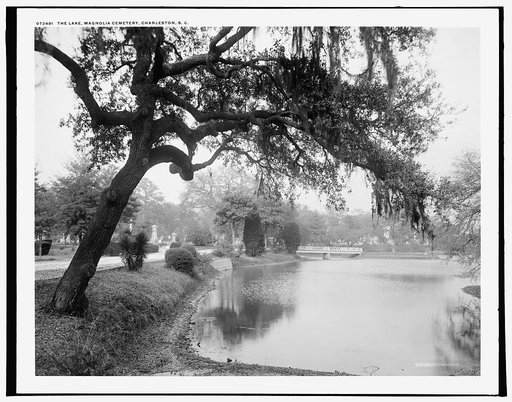 The Lake, Magnolia Cemetery, Charleston, S.C.