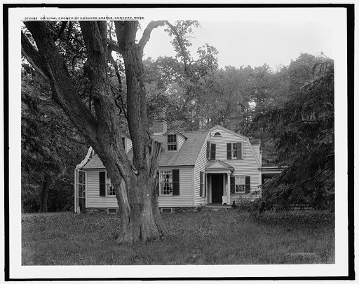 Grapevine Cottage, home of] original grower of Concord grapes, Concord, Mass.