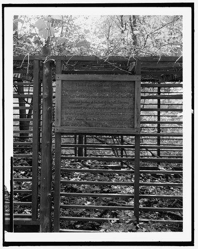 Original Concord grape vine, Concord, Mass.