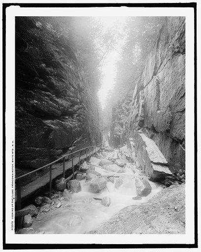 Looking up the flume, Franconia Notch, White Mts., N.H.