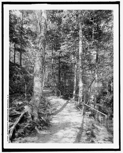 Wildwood Path, Profile House, White Mts., N.H.