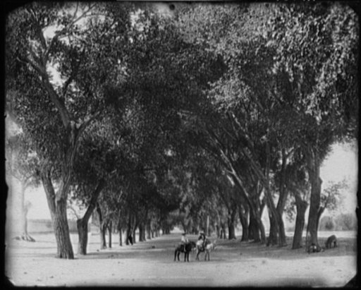 The Calle de Guadeloupe [i.e. Guadaloupe], Chihuahua