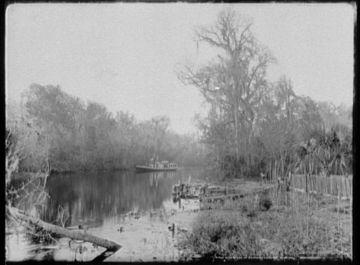Rice Creek at Brown's Landing, Florida